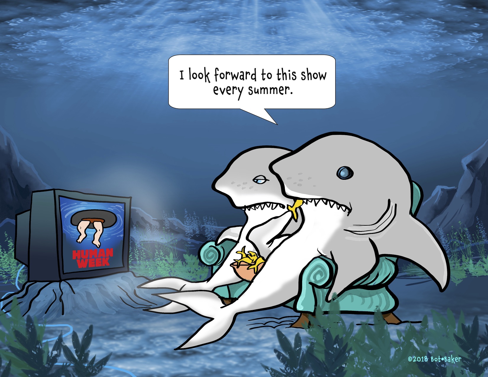 shark